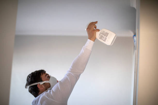 Best Certified Mold Removal  in Marion, TX