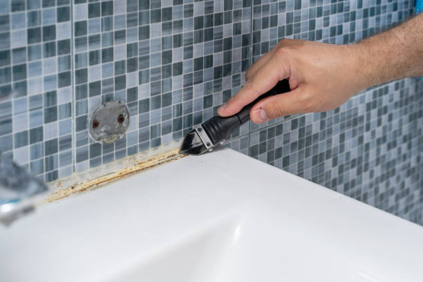 Best Mold Cleaning Services  in Marion, TX