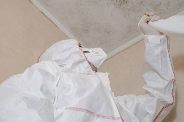 Best Mold Damage Repair  in Marion, TX