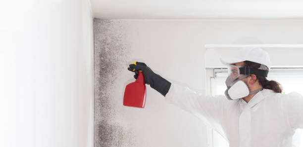 Best Mold Remediation Services  in Marion, TX