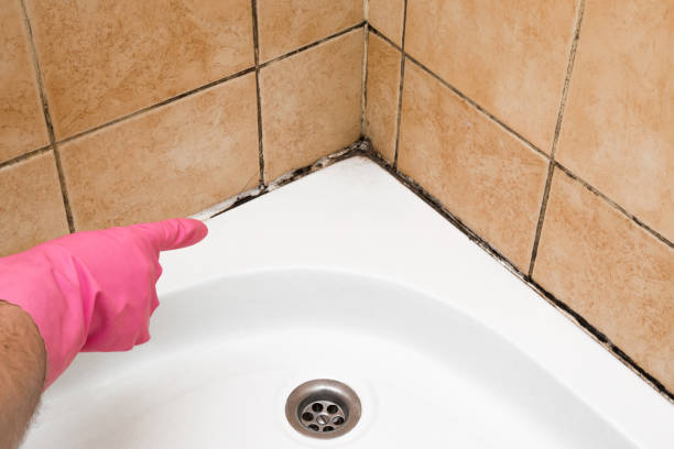 Best Residential Mold Removal  in Marion, TX